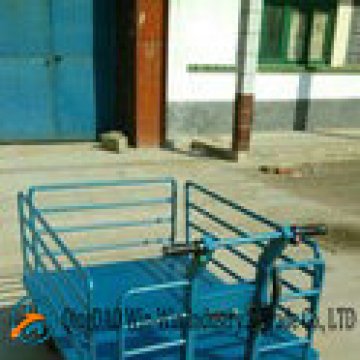 High Capacity Electric Warehouse Trolley